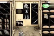 《以骑马与砍杀2躲弓箭手预判方法大揭秘》（掌握关键技巧）