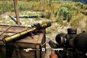 《孤岛惊魂FarCry2》游戏攻略（挑战非洲荒野生存）