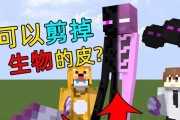 我的世界中剪刀的使用方法是什么？