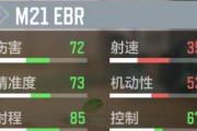 探索使命召唤手游萌新步枪枪械选择的策略（如何选择最适合你的步枪枪械选择策略掌握使命召唤手游的战场）