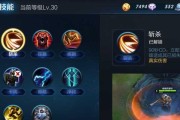 刘禅在王者荣耀中最多能拿多少区标？如何提高刘禅的区标数量？