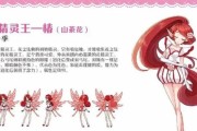 精灵王早期获取方法是什么？