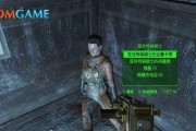 辐射4爆炸流怎么玩？详细攻略解析常见问题