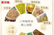 《探寻新大陆的秘密——以梦想新大陆金龙鱼垂钓方法介绍》（一窥游戏中钓金龙鱼的绝佳策略）