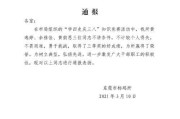 绝对演绎通告攻略（打造绝对演绎日常通告的主题化体验）