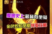 魔兽世界中金色凤凰坐骑的获取方法是什么？