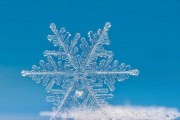 《跑跑卡丁车手游雪花获取方式详解》（了解如何快速获取跑跑卡丁车手游中的雪花）