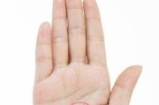 生命线通关技巧是什么？如何解析游戏攻略？