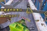 绝地求生刺激战场（如何在游戏中安全地过桥应对堵桥情况）