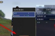 《猎人手游时装属性选择指南》（打造最强猎人）