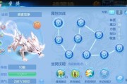 神兽打书加点攻略？如何优化神兽属性？