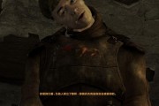 辐射（深入废土）
