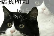 漫漫长夜如何提高睡眠质量？进阶睡觉方法有哪些？