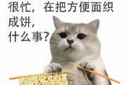 生化危机7中猎枪获取方法是什么？详细解析攻略在哪里查看？