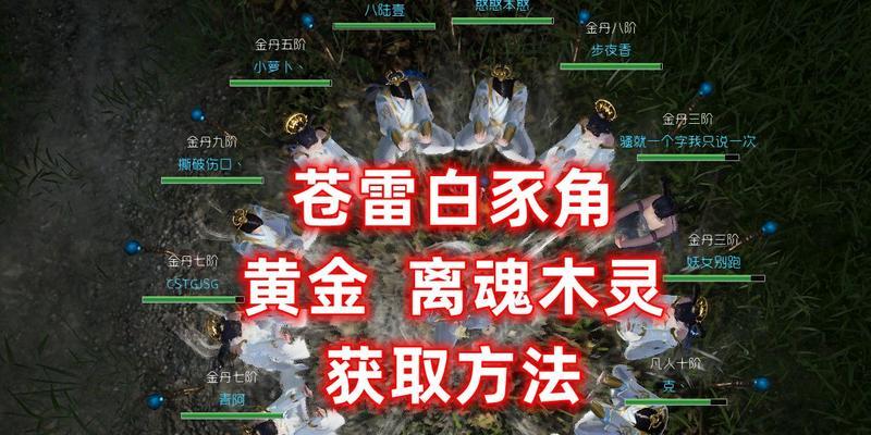 《太荒初境》游戏中的炼丹材料详解（探索游戏世界）