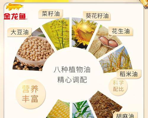 《探寻新大陆的秘密——以梦想新大陆金龙鱼垂钓方法介绍》（一窥游戏中钓金龙鱼的绝佳策略）