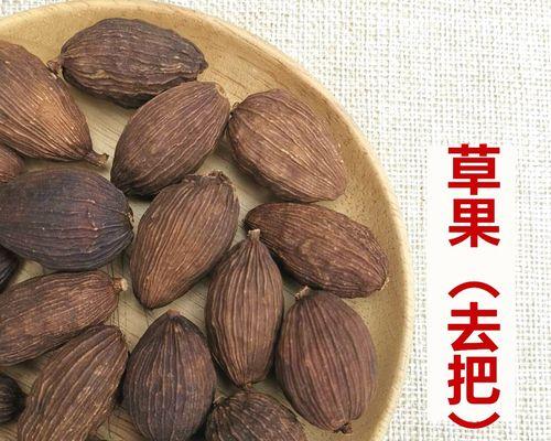 《解锁新大陆的香料奇遇任务攻略》（探索梦想新大陆）