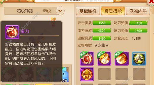 超级神鸡技能介绍？如何在梦幻西游手游中使用超级神鸡？