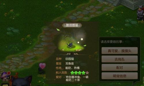 梦幻西游手游萌宠配对失败怎么办？失败原因及解决方法是什么？