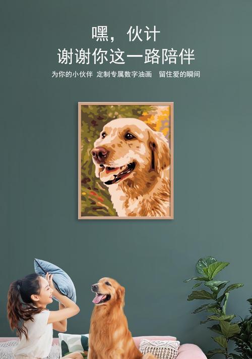 神武3宠物装饰如何获取？获取方法有哪些？