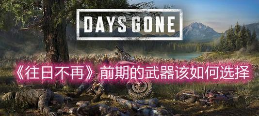 往日不再生存难度技能怎么选择？技能选择的策略和建议是什么？