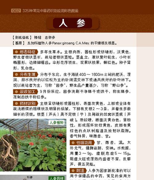 为了吾王如何节省草药？草药成本高该如何应对？