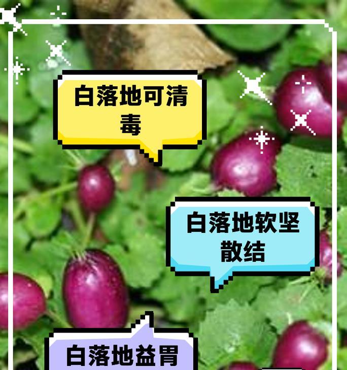 落地后如何有效抗毒？