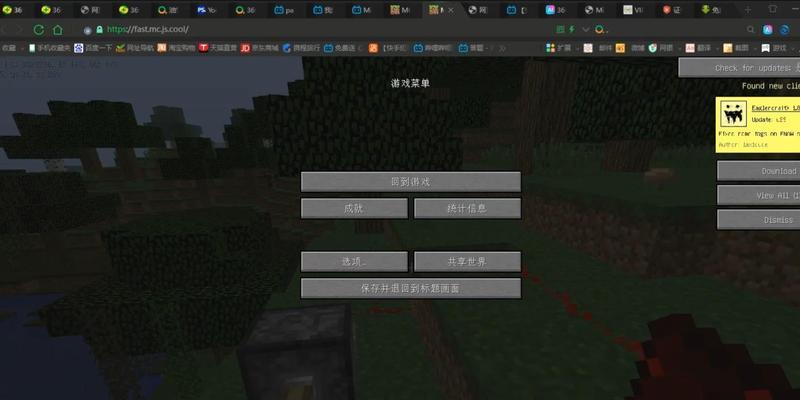 在《我的世界》中如何查看特定信息？查看功能有哪些快捷方式？