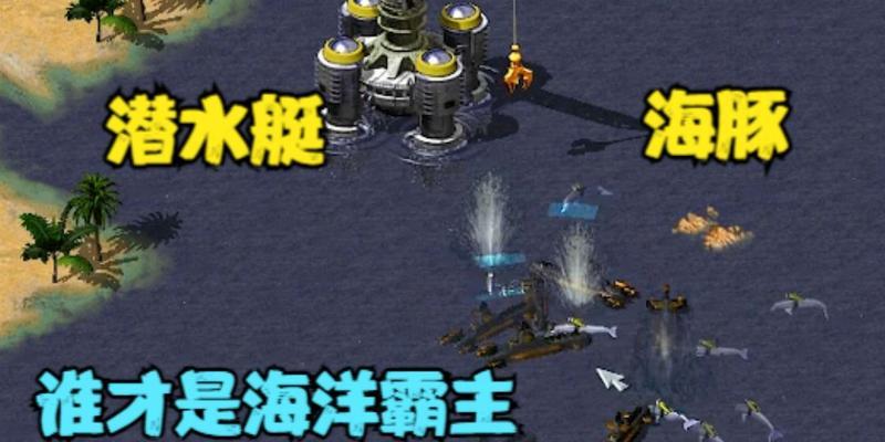红警海豚如何应对陆地战争？陆地战争的战术有哪些？