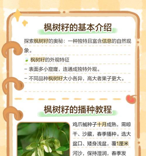枫树种子的获取途径是什么？需要什么条件？