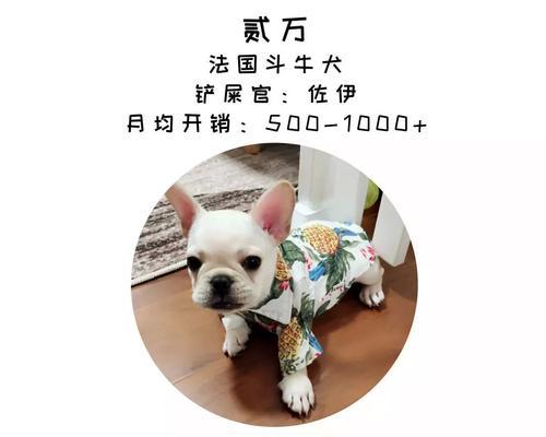 英雄联盟大虫宠物的饲养方法是什么？如何正确喂养大虫？