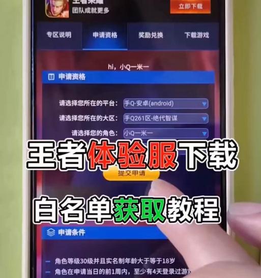 王者荣耀体验服的使用方法是什么？