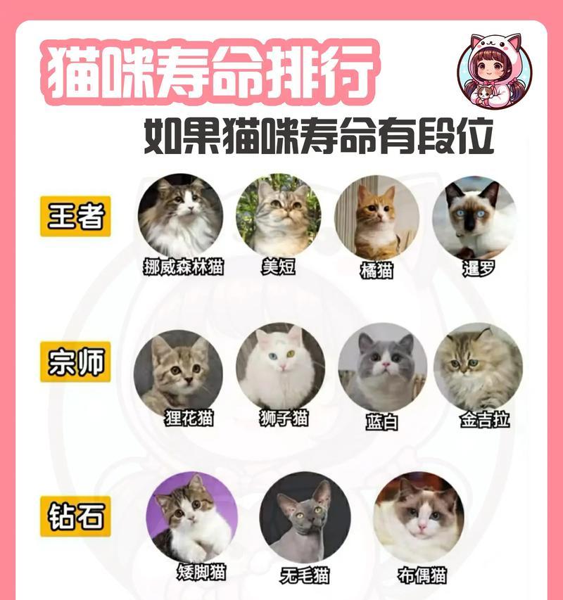 王者荣耀猫幼出现的条件是什么？