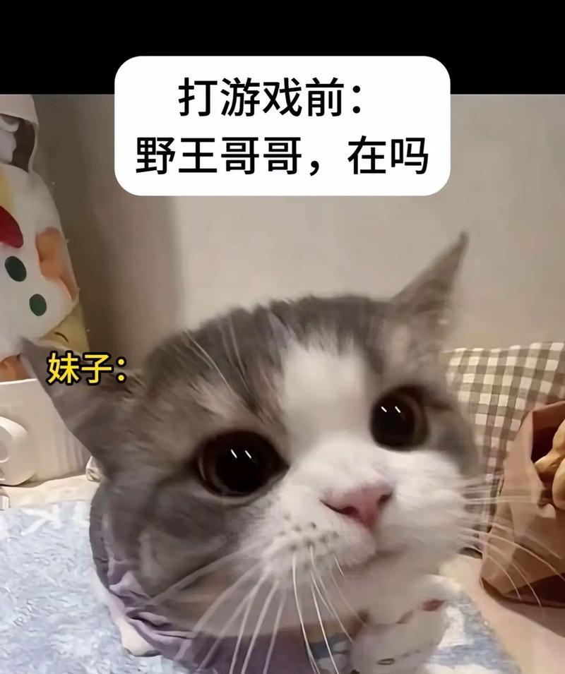 王者荣耀猫幼出现的条件是什么？