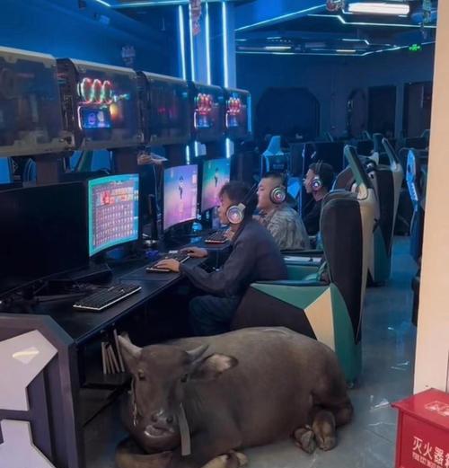 网吧登录不上魔兽世界的原因是什么？