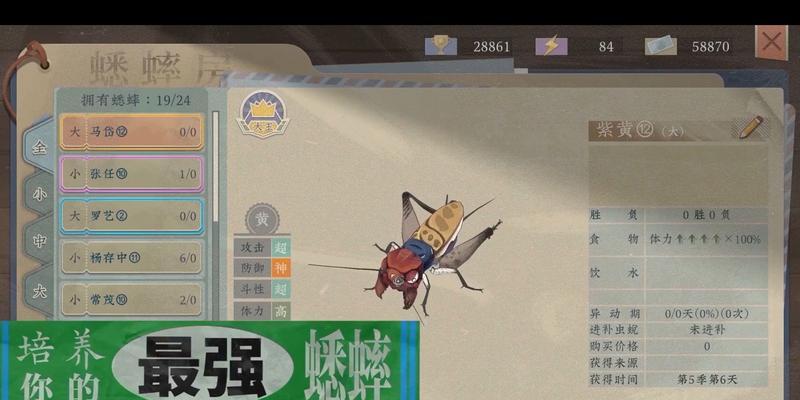 斗蛐蛐模式上线时间是什么时候？如何参与？
