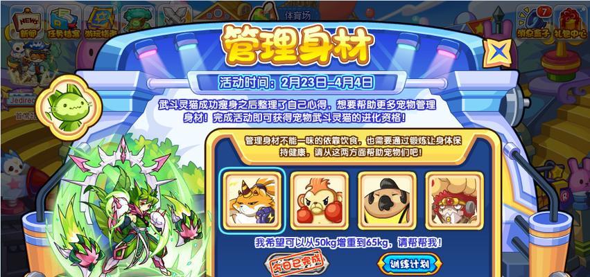 洛克王国游戏如何提升流畅度？