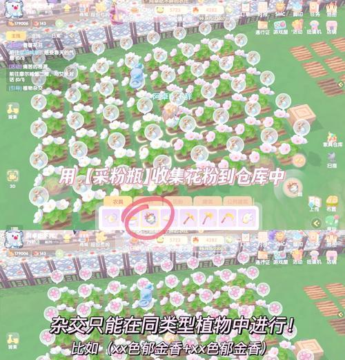 摩尔庄园八区的玩法有哪些？新手如何快速上手？