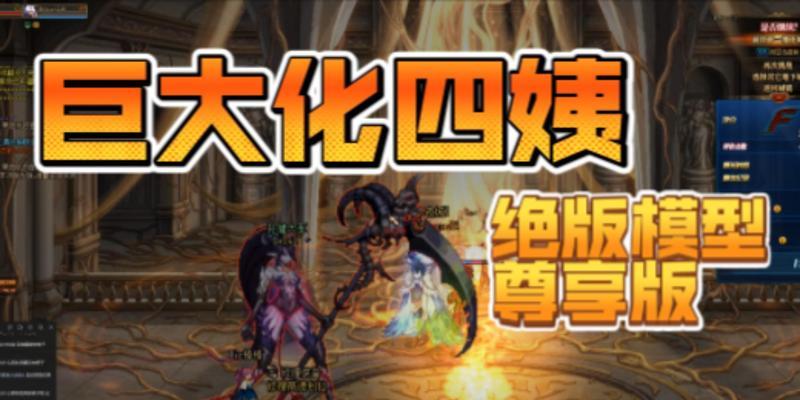 dnf四姨职业的详细信息是什么？