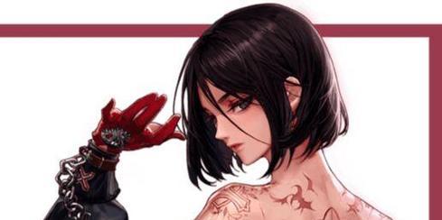 dnf四姨职业的详细信息是什么？